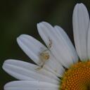 Martin DeWitt - @RF_Marty - Twitter