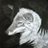 burakwui's profile image