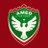 amedfantoken's profile image