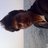 khairul (@sham7978) Twitter profile photo