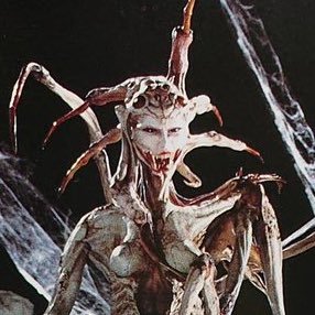lavirgenlocha's profile image