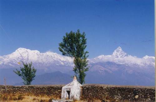 nomadiain's profile picture. 