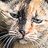 becochhi's profile image