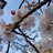takeshi00250025's profile image