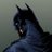 mustafa14125654's profile image