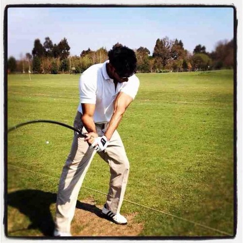 nimal456's profile picture. 