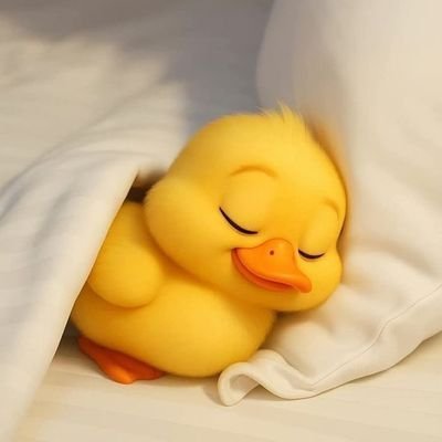 🐣🐣🐣🐣🐣🐣💯💯💯💯💯🐣🐣🐣💯💯💯🐣🐣🐣🐣🐣💯💯🐣🐣🐣