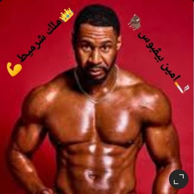 ملك الساحة 👑مسيطر بي فحولتي 🦬مخضع اي شرموطة وخنثة 💪جزائري 🇩🇿💯نياكك