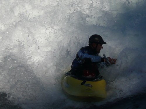 joel_werd's profile picture. 