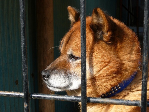 東風とも道風とも。アイコンは愛犬のホクちゃん(享年１９歳)。平成２２年１０月１７日永眠。寝オチ発展協会(NHK)no,21 ゲームを最近のメインはFGO、APEX、エルデンリング。
Vtuber推し達🌸🐈‍⬛、💝🦁、⛩🐾、✨🍆🧁、🧡⚡、🐤🥝、🎴🍺、👛、📷👓、🐣🎡、🎃、⚡️💖