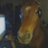 Sade_48's profile image