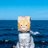 XiZhouYing's profile image