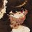 misqybun's profile image
