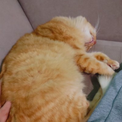 luu