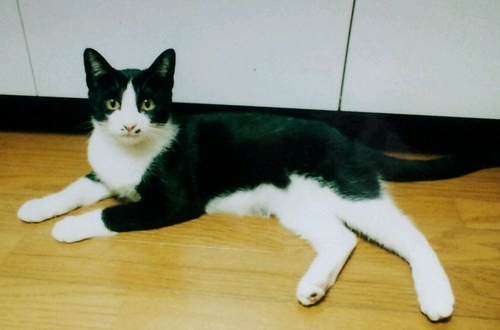 komuro3458's profile picture. 秋は足を伸ばして映画館🎬