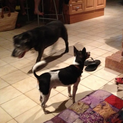 emmaread88's profile picture. 