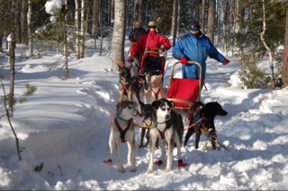 htbgouda's profile picture. 