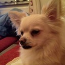 sonia wright - @soniawright7 - Twitter