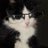bihari_femcel's profile image