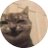 secimlegeldik's profile image