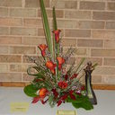 Pam Ford - @PamFord5 - Twitter