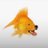 BrownXitla59605's profile image