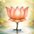anujsainbjp's profile image