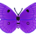 Mariposa (@mariposaflying) Twitter profile photo Mariposa (@mariposaflying) Twitter profile photo