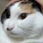 shakebentou915's profile image