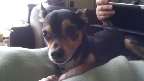 bigdealrv's profile picture. 