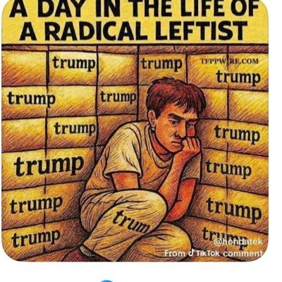 Dianedonna123's profile image