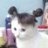 edannury's profile image