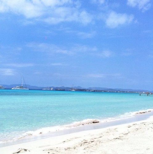 francicalabro's profile picture. 