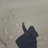 moomoo_wa's profile image