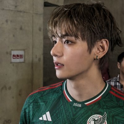 Alma⁷ 🇲🇽 | VIÓ A BTS EN EL ZÓCALO