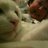 JennyAubel's profile image