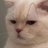 kittyzlilii's profile image