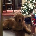 Leah Allison - @leaha11ison - Twitter