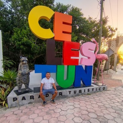 Lic. Intervención Educativa, Ing. Industrias Alimentarias y Auxiliar de servicios y mantenimiento en la SEQ. Electricista, plomero, jardinero y lo que desee...