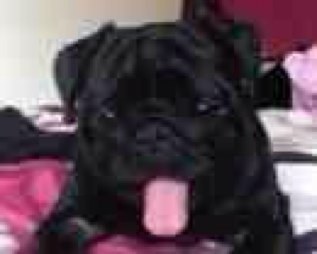 HotmailRiley's profile picture. 