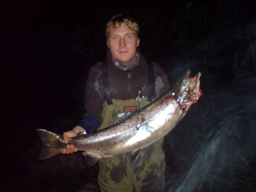 kareberg's profile picture. 