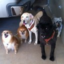 Michelle Otero - @QkaMich - Twitter