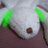 acco89367254147's profile image