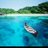 Borge8_7's profile image