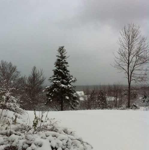 JanetMacDonald7's profile picture. 