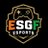 ESGFEsports's profile image