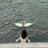 av11_a's profile image
