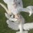 InaNoah2t7j's profile image