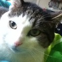 wouter jansen - @Jansen38Jansen - Twitter