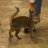 bip00bip's profile image